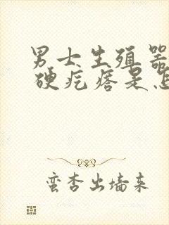 男士生殖器有个 硬疙瘩是怎么回事封面