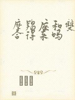 摩羯座和双子座合得来吗封面