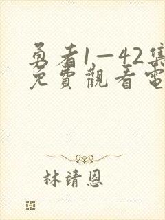 勇者1—42集免费观看电视剧