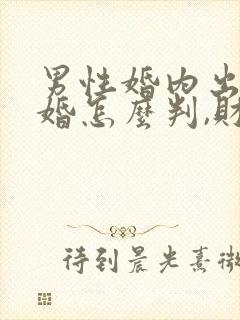 男性婚内出轨离婚怎么判,财产怎么分封面