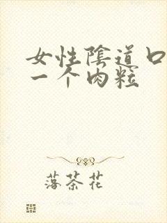 女性阴道口起了一个肉粒封面