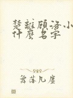 楚离顾洛小说叫什么名字封面