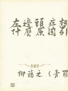 左边头疼想吐是什么原因引起的