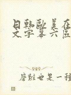 日韩欧美在线中文字幕六区