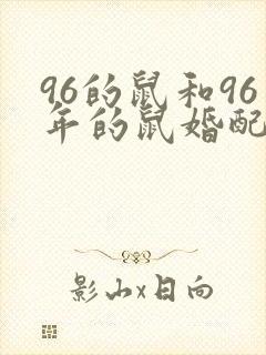 96的鼠和96年的鼠婚配好吗