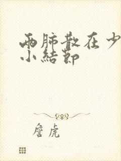 两肺散在少许微小结节