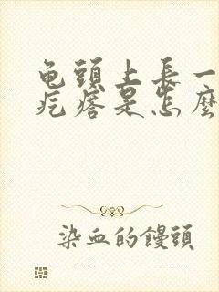 龟头上长一排小疙瘩是怎么回事