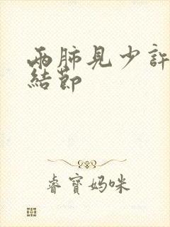 两肺见少许微小结节