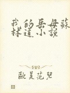 我的岳母苏沛真林道小说