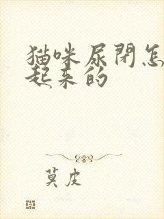 猫咪尿闭怎么引起来的