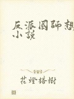 反派国师想转正小说