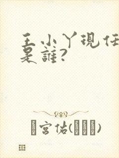 王小丫现任丈夫是谁?