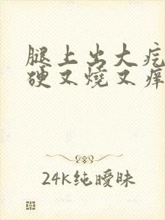 腿上出大疙瘩又硬又烧又痒