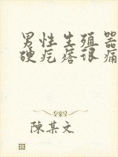 男性生殖器有个硬疙瘩很痛