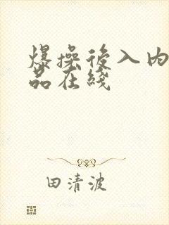 爆操后入内射精品在线