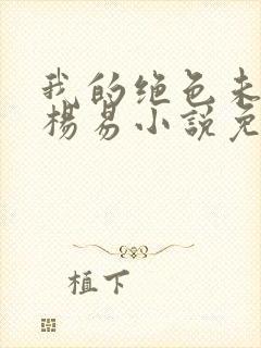 我的绝色未婚妻杨易小说免费阅读