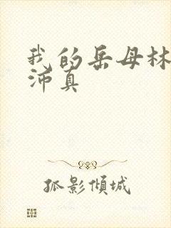 我的岳母林道苏沛真