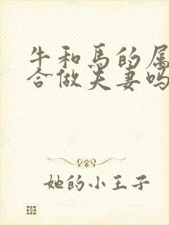 牛和马的属相适合做夫妻吗