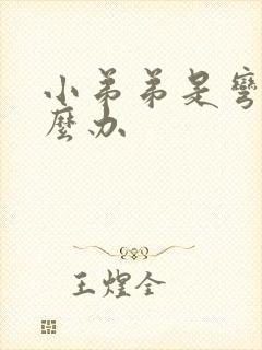 小弟弟是弯的怎么办