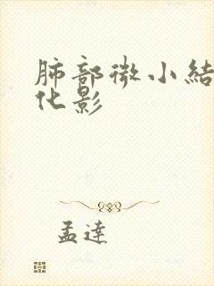 肺部微小结节钙化影