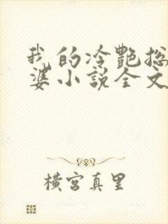 我的冷艳总裁老婆小说全文阅读