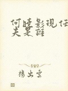 何晓影现任的丈夫是谁