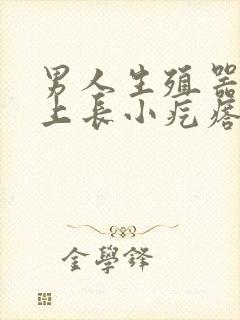 男人生殖器外皮上长小疙瘩是怎么回事