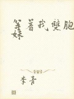 等着我双胞胎姐妹