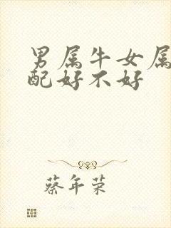 男属牛女属虎婚配好不好