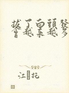 拔了白头发真的会越来越多吗