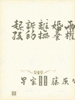 起诉离婚两个小孩的抚养权怎么判