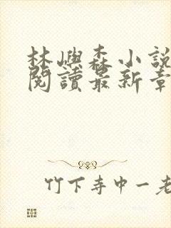 林屿森小说免费阅读最新章节