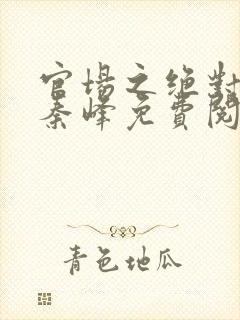 官场之绝对权力秦峰免费阅读