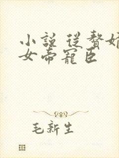 小说 从赘婿到女帝宠臣