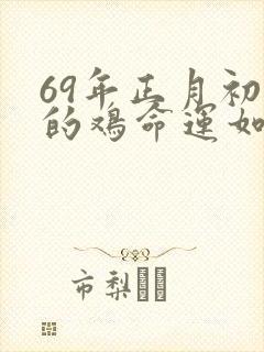 69年正月初四的鸡命运如何