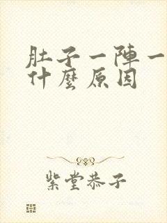 肚子一阵一阵痛什么原因