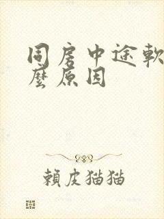 同房中途软了什么原因