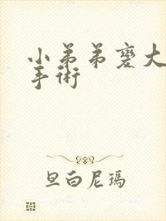 小弟弟变大变粗手术封面