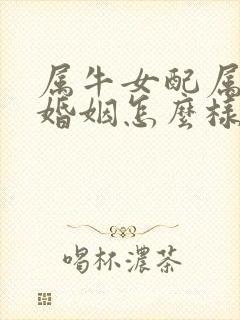 属牛女配属兔男婚姻怎么样封面