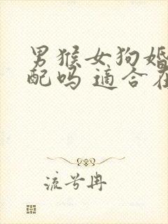 男猴女狗婚姻相配吗 适合在一起吗