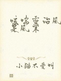 咳喘灵治风热还是风寒