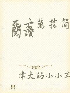 死亡万花简小说阅读封面