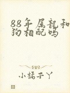 88年属龙和属狗相配吗