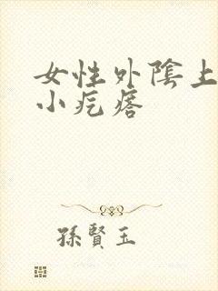 女性外阴上有个小疙瘩封面