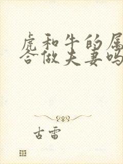 虎和牛的属相适合做夫妻吗