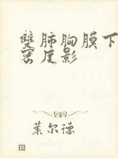 双肺胸膜下稍高密度影