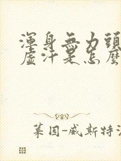 浑身无力头晕冒虚汗是怎么回事