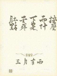 肚子下面按着有点疼是什么情况