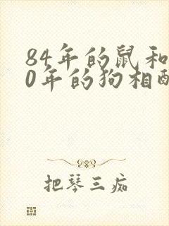 84年的鼠和70年的狗相配吗