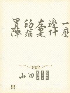 胃的左边一阵一阵痛是什么原因封面